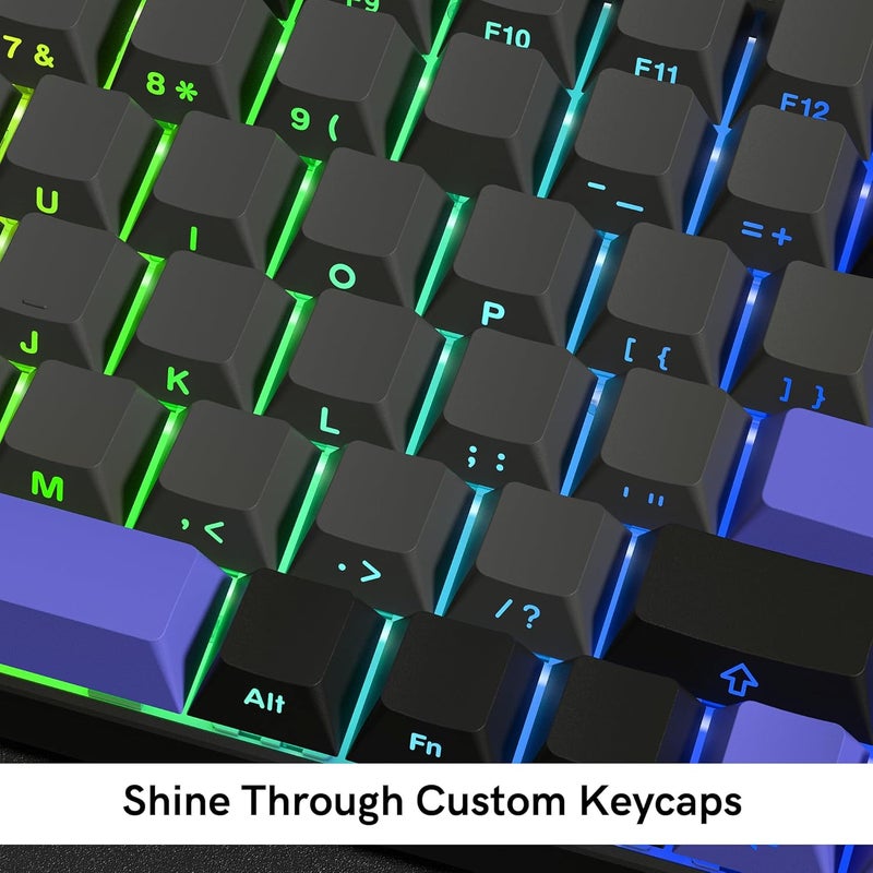 Rainy75 Shine Through Double Shot PBT Keycaps Set, Cherry Profile Custom Keycaps 60 65 75 100 Percent for 61/64/68/84/87/100/104/108 Retro Gaming Mechanical Keyboard, Black Purple - Image 2